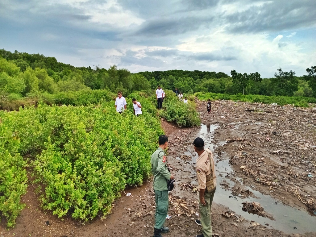 Tambak Ilegal Gerus Belasan Hektar Mangrove di Pesisir Maumere, Warga Mulai Kebanjiran Rob