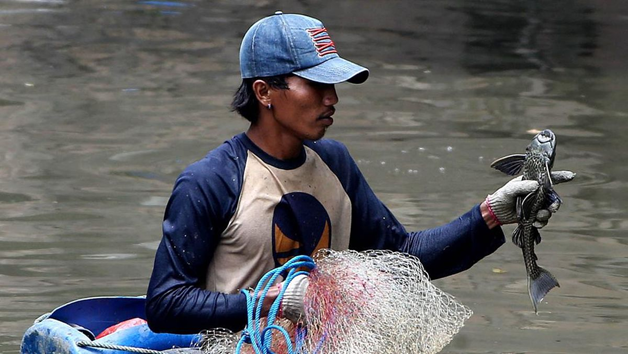 Pramono Perintahkan Operasi Basmi Ikan Sapu-sapu di Seluruh Jakarta, 100 Personel Kerahkan ke Kali Cideng