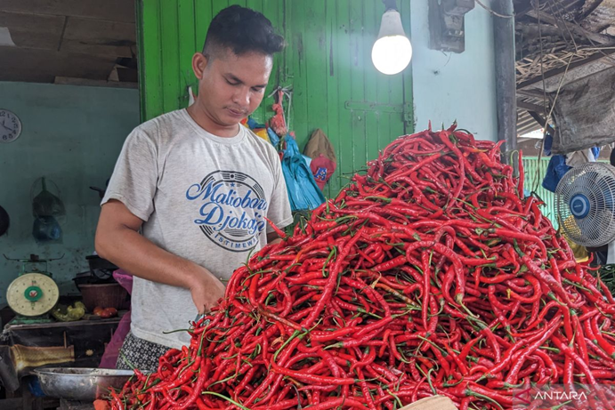 Harga Cabai Merah di Medan Anjlok, Rata-rata Rp18.500 per Kg per 6 April 2026